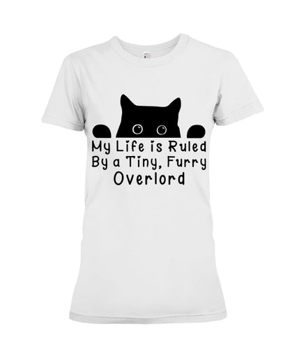 Life Under the Paw: Embracing My Adorable Furry Overlord Cat!