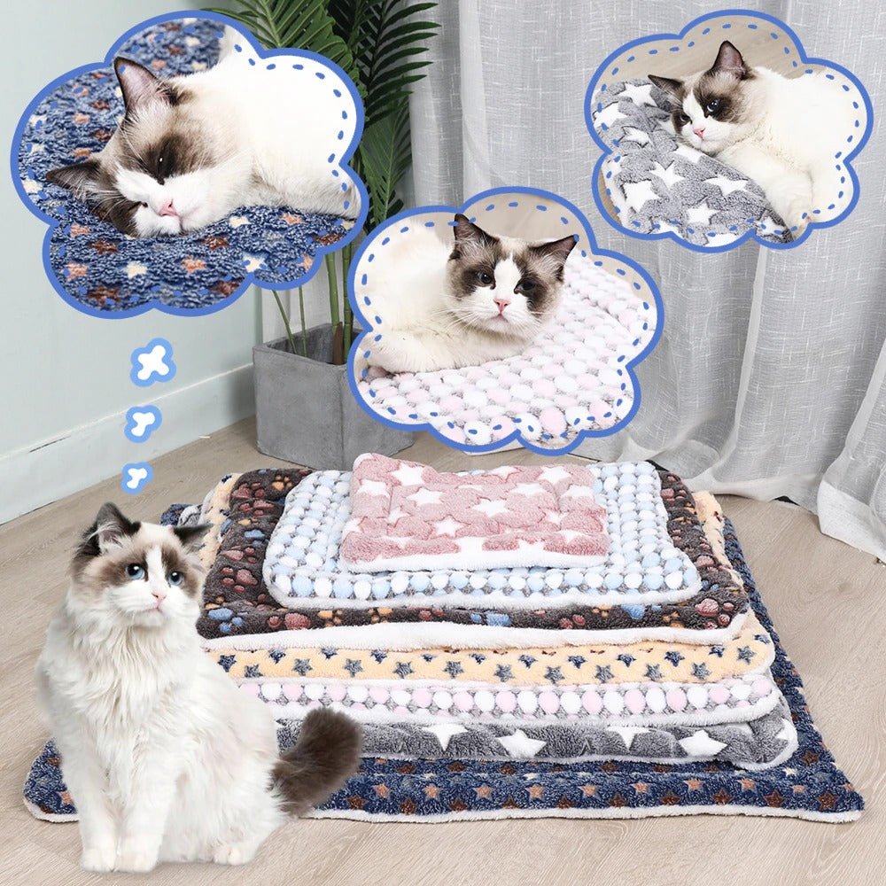 Cattasaurus Snuggly Serenity Blanket™