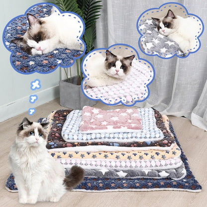 Cattasaurus Snuggly Serenity Blanket™